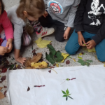 Retour en images sur les créations nature du Primaire d’Alzon Beaucaire