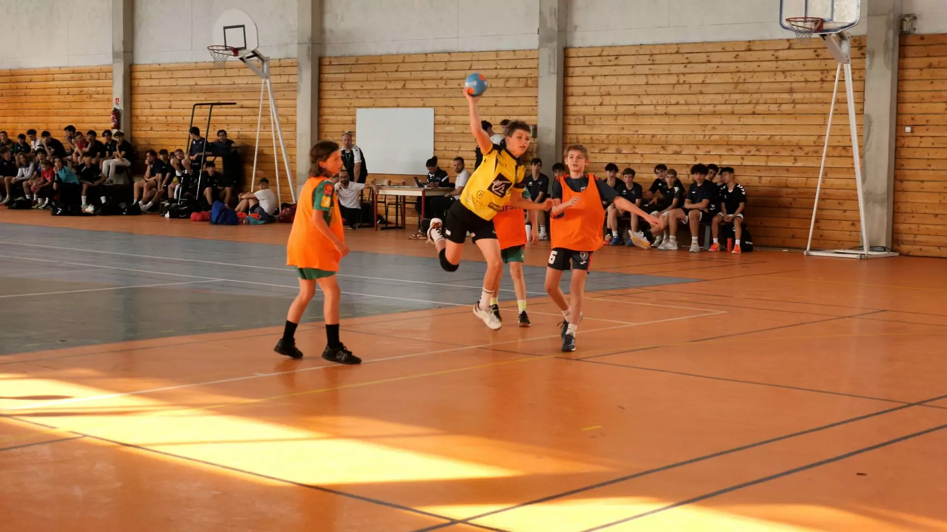 detection handball