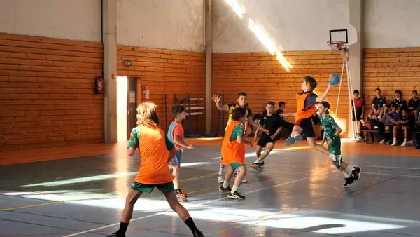 detection handball
