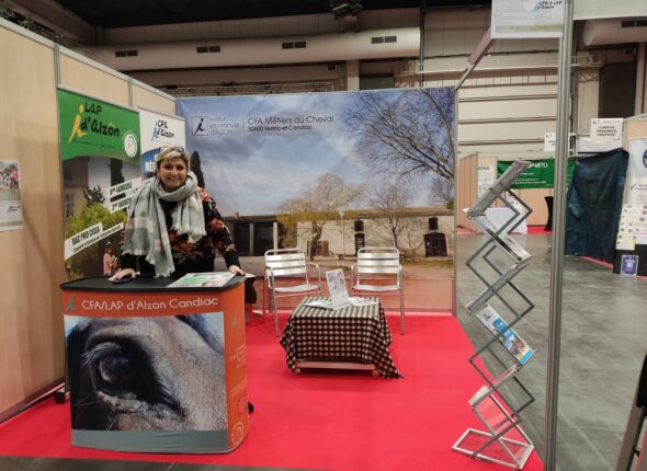 salon du cheval (11)