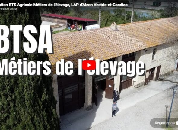 Capture d’écran 2026-04-01 143739