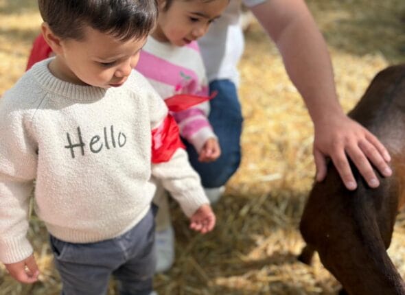 20260427 - salon agriculture crèche beaucaire (1)