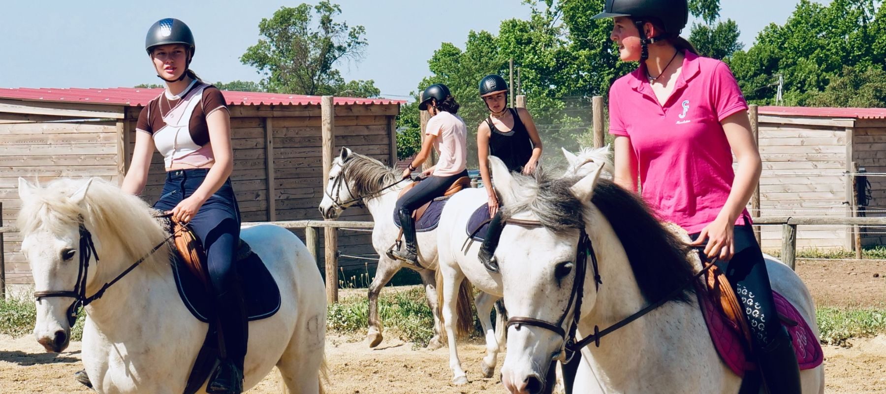 Animateur d équitation Animateur d équitation