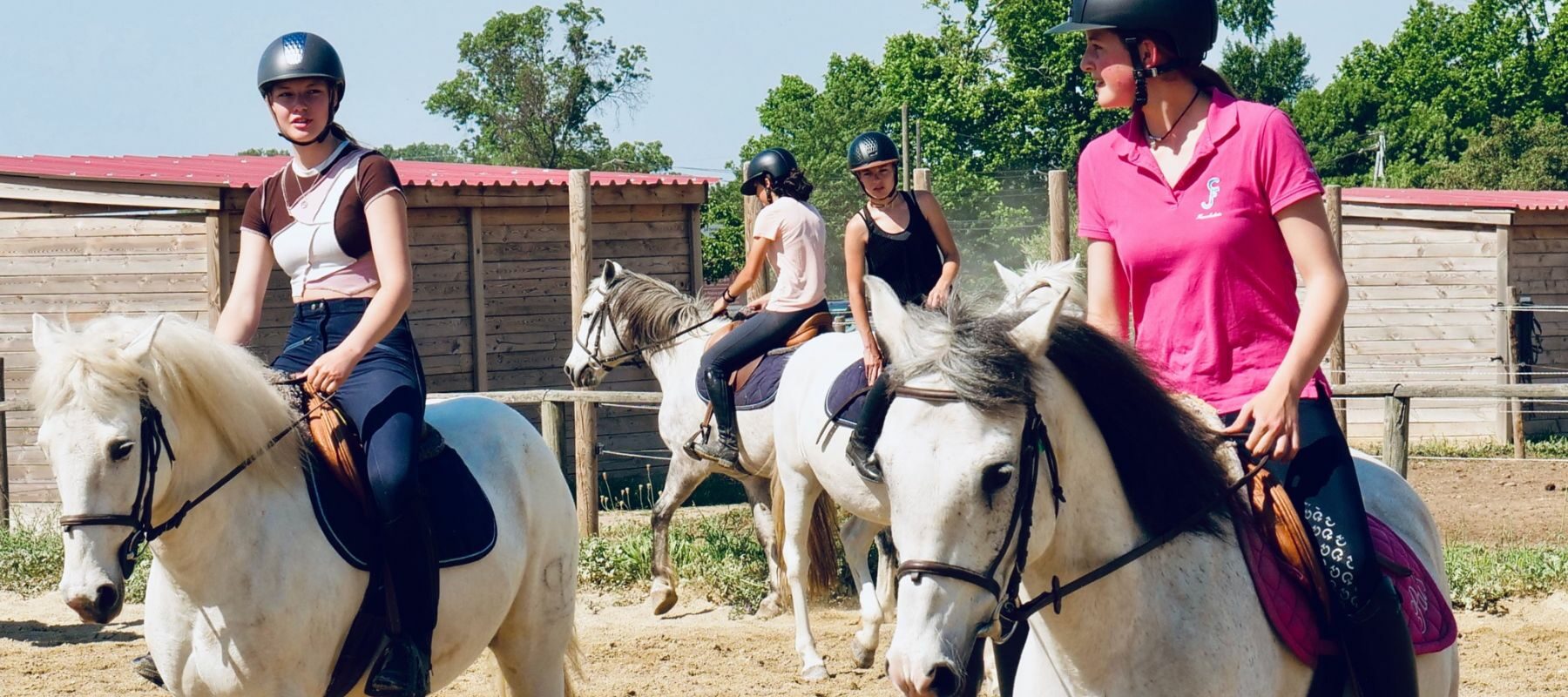 Animateur d équitation
