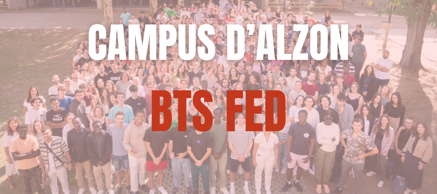 BTS FED
